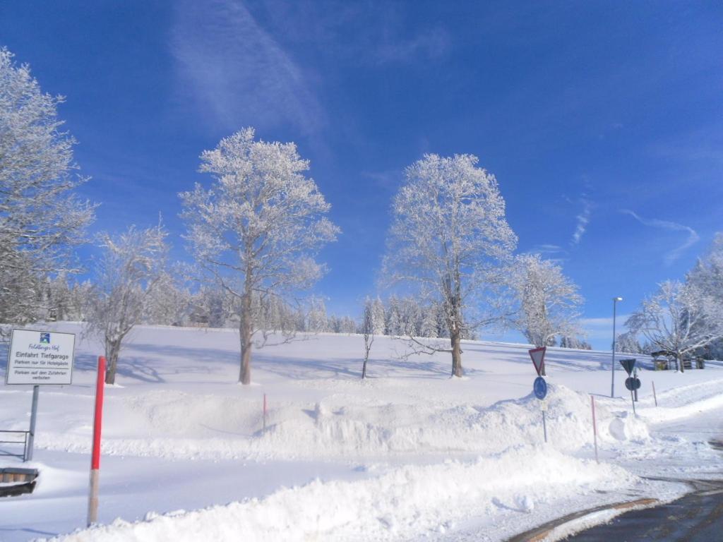 Hotel Landgasthaus Gemsennest Feldberg  Exteriér fotografie