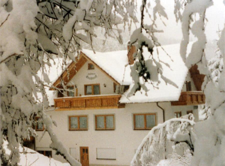 Hotel Landgasthaus Gemsennest Feldberg  Exteriér fotografie