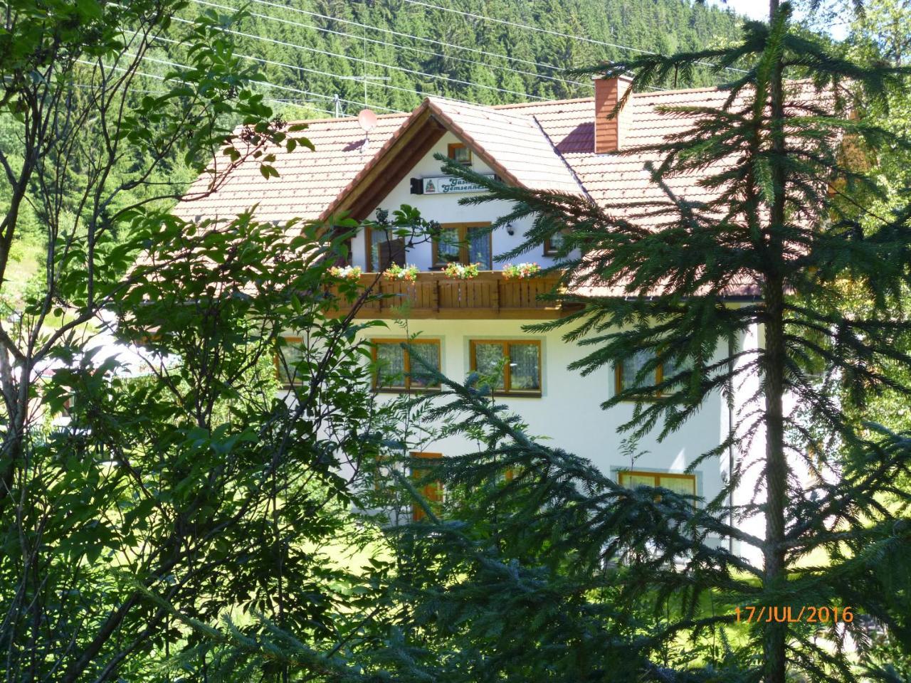 Hotel Landgasthaus Gemsennest Feldberg  Exteriér fotografie